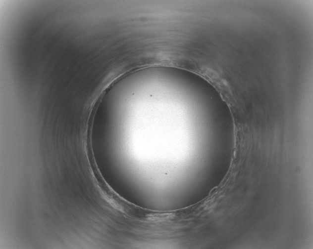 X0000068760051200605051616