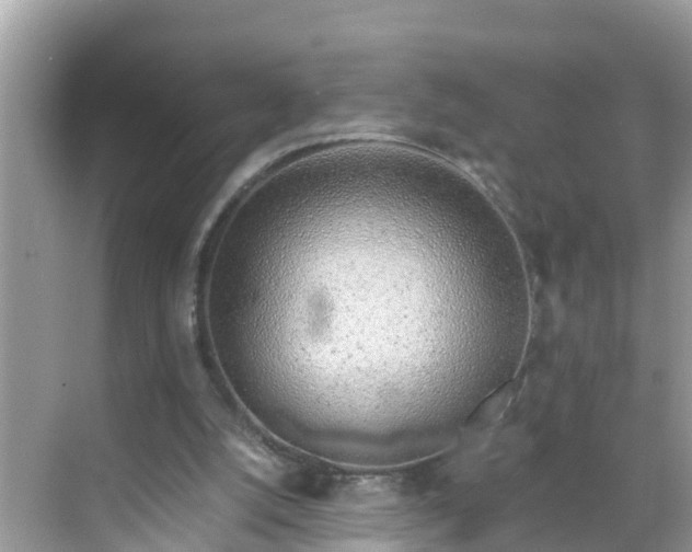 X0000068760056200605051616