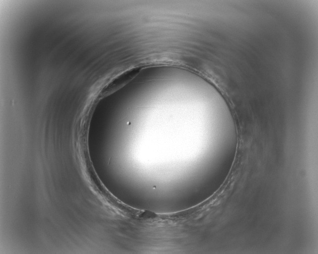 X0000068760193200605051614