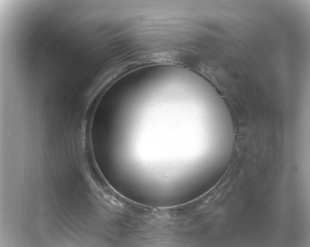 X0000068760194200605051614