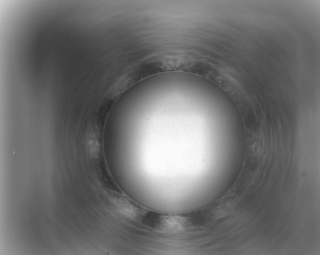 X0000068760226200605051614