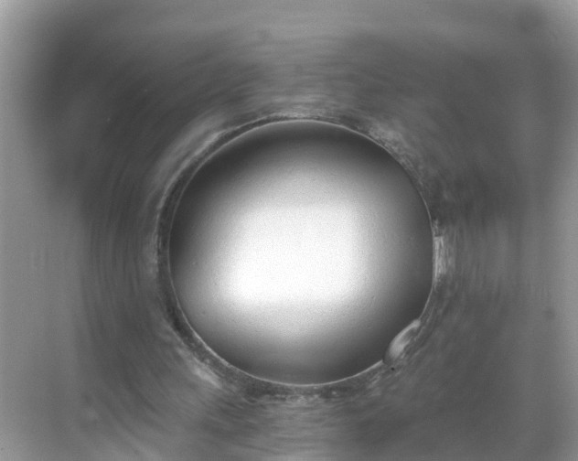 X0000068760243200605051613