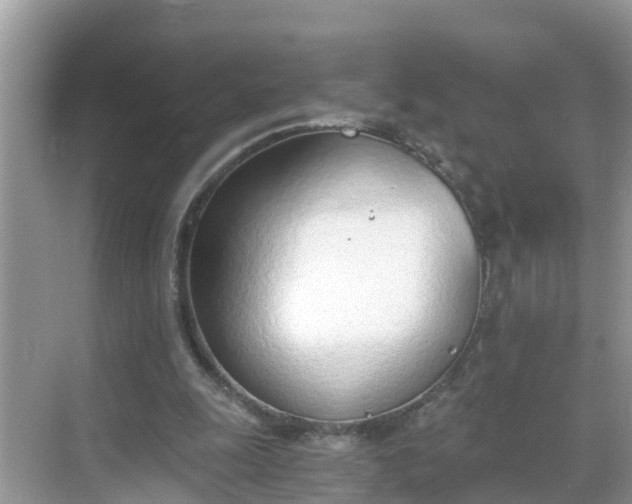 X0000068760247200605051613