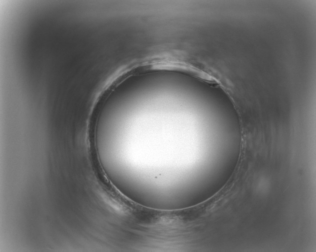 X0000068760248200605051613
