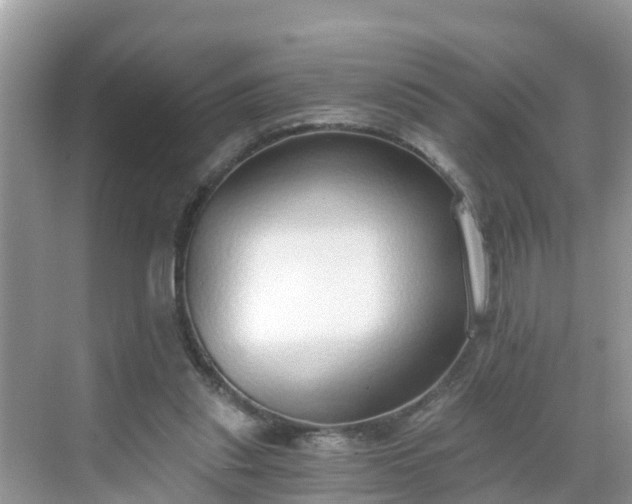 X0000068760253200605051613