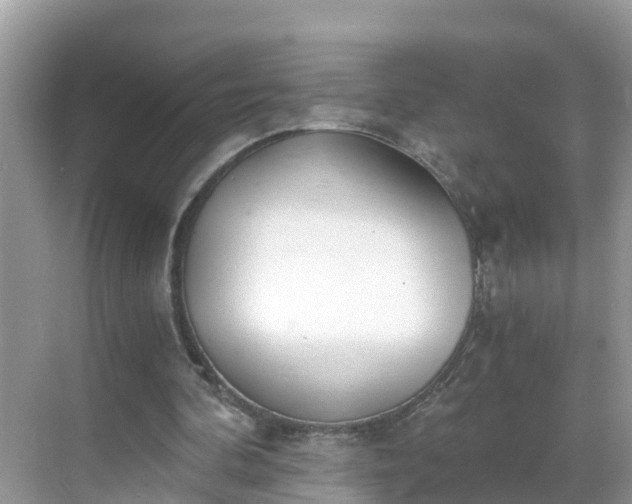 X0000068760292200605051613