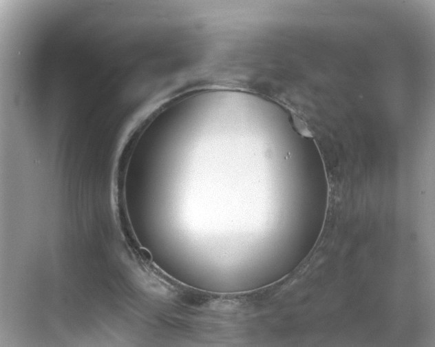 X0000068760294200605051613