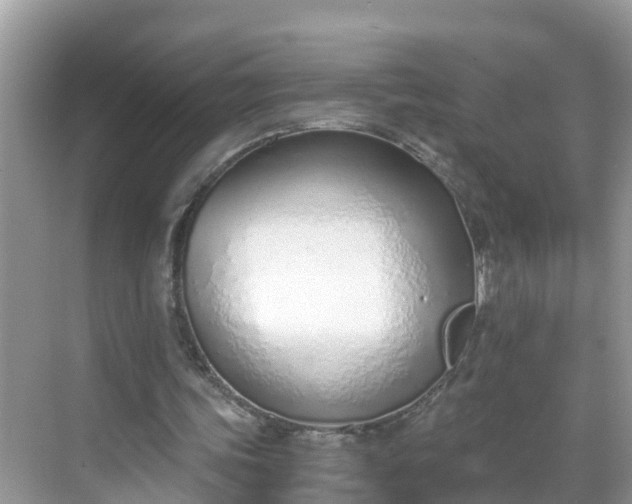 X0000068760339200605051611