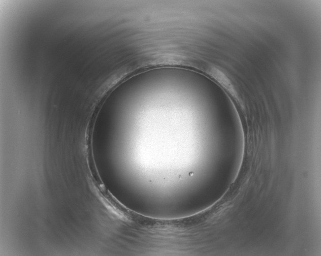 X0000068760389200605051611