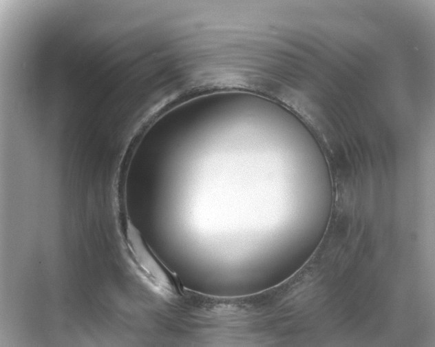 X0000068760390200605051611