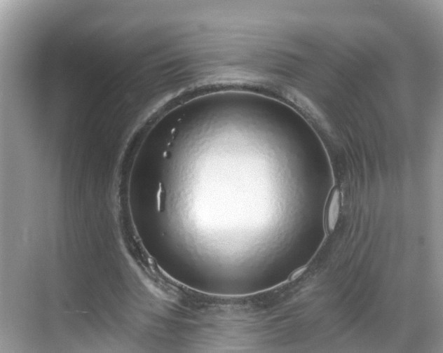 X0000068760436200605051610
