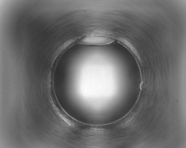 X0000068760437200605051610