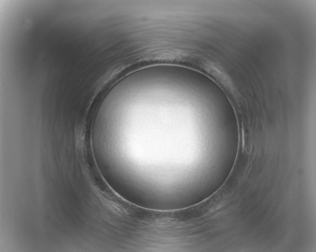 X0000068760483200605051610