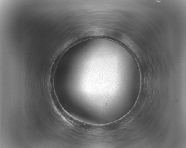 X0000068760485200605051610