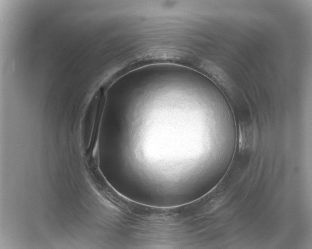 X0000068760627200605051606