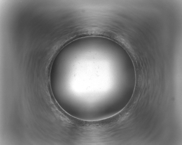 X0000068760673200605051606