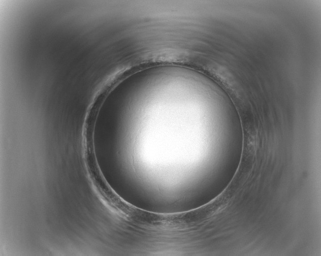 X0000068760678200605051606