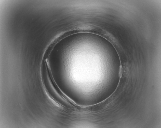 X0000068760726200605051605