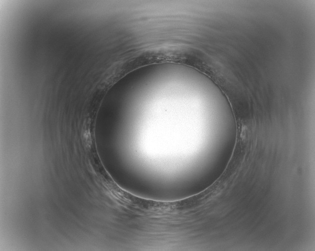 X0000068760771200605051605