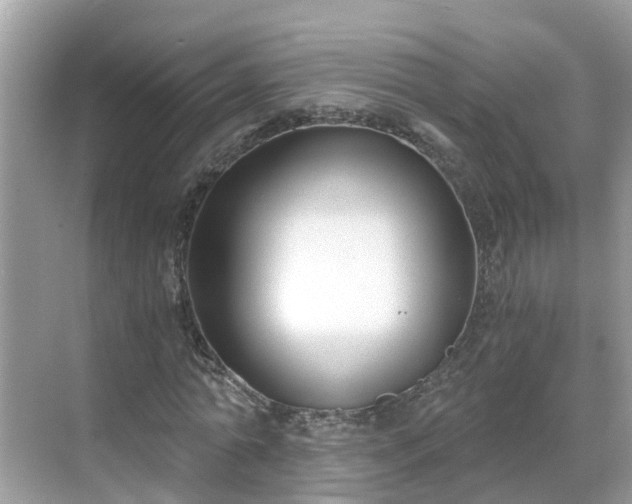 X0000068760774200605051605
