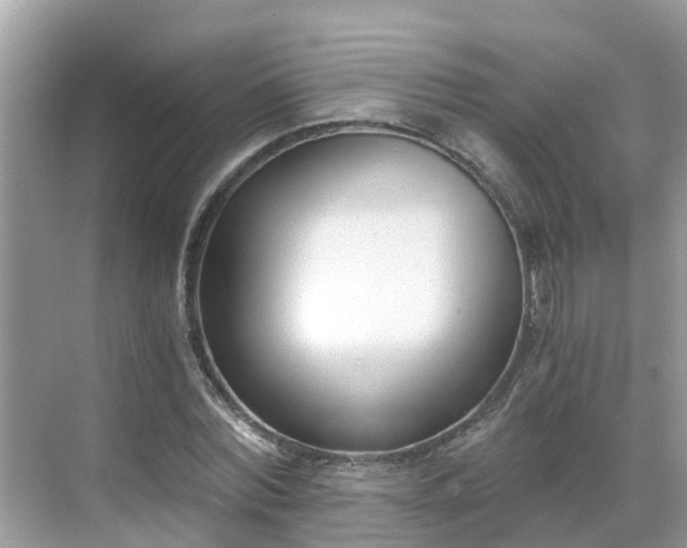 X0000068760780200605051605