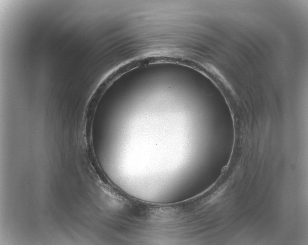 X0000068760830200605051603