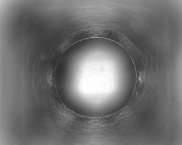 X0000068760867200605051603