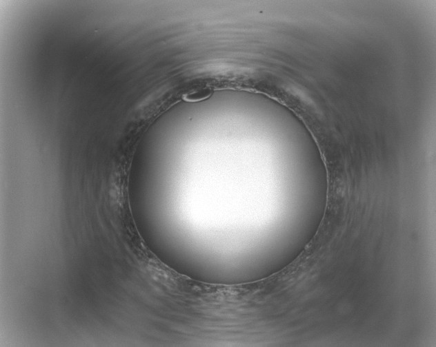 X0000068760869200605051603