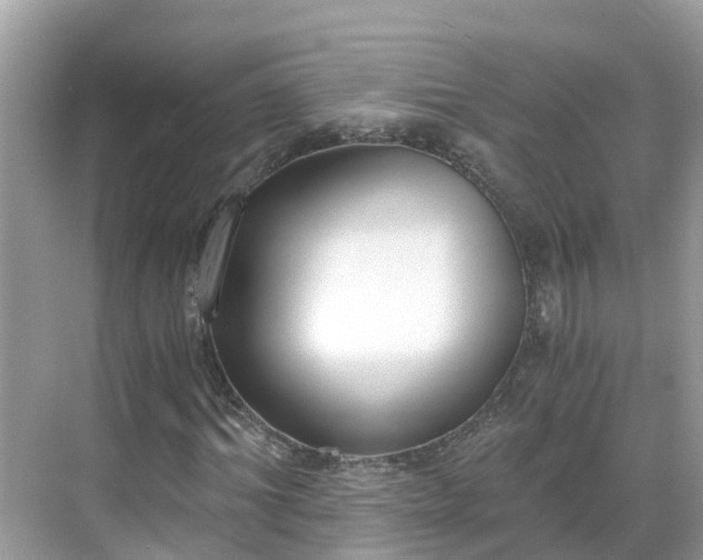 X0000068760964200605051601
