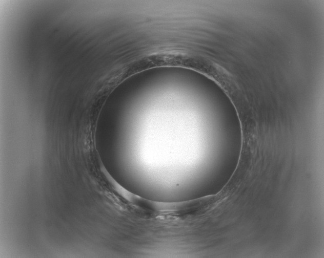 X0000068761014200605051600