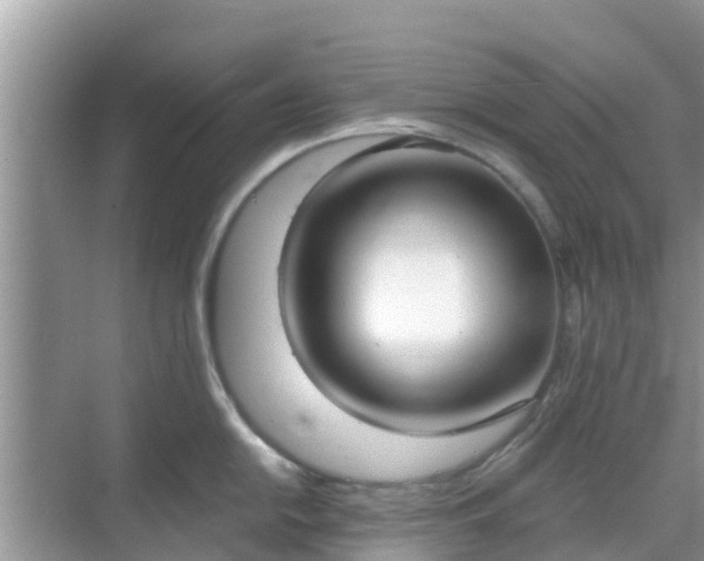 X0000068761054200605051601