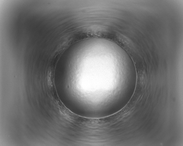 X0000068761060200605051600