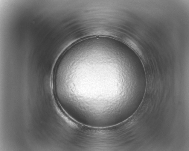 X0000068761084200605051559