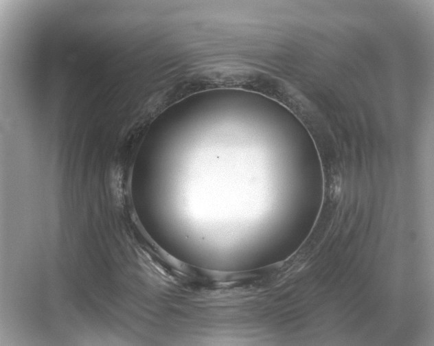 X0000068761108200605051558