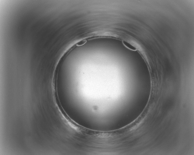 X0000068761141200605051559