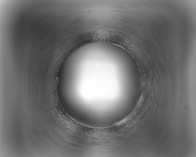 X0000068761153200605051558