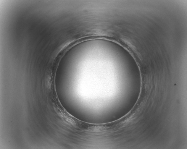 X0000068761163200605051558