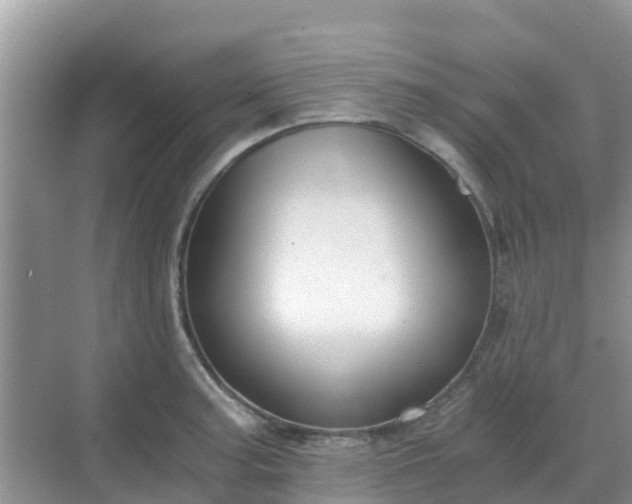X0000068761187200605051558