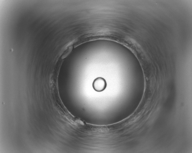 X0000068761210200605051557