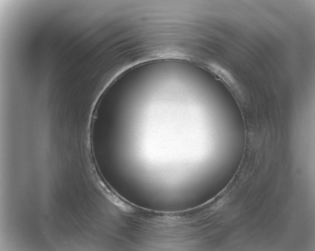 X0000068761236200605051557