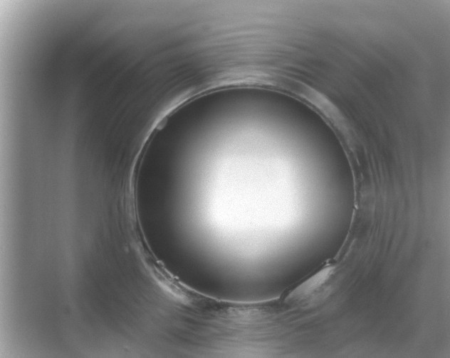 X0000068761242200605051557