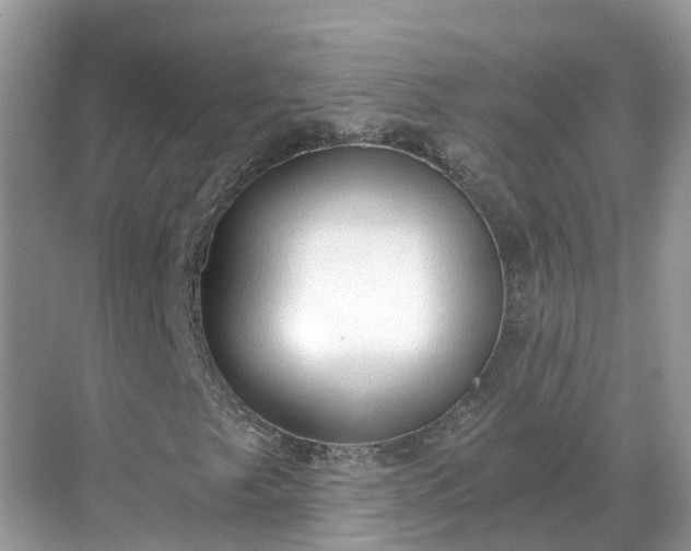 X0000068761249200605051557