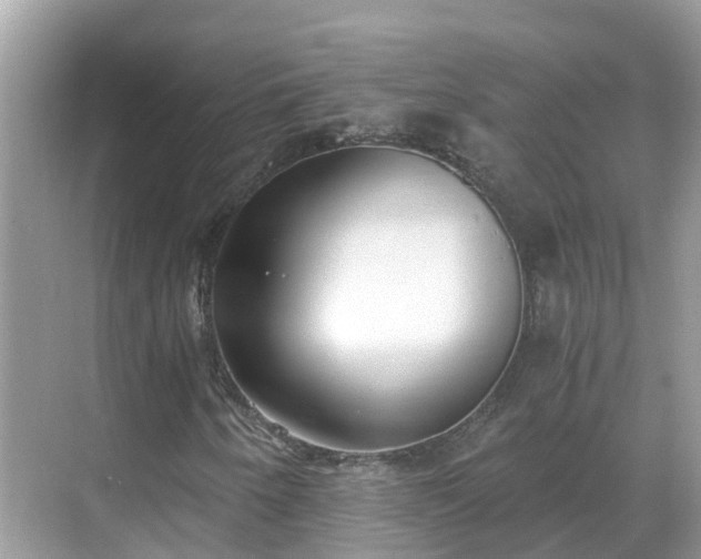 X0000068761250200605051557
