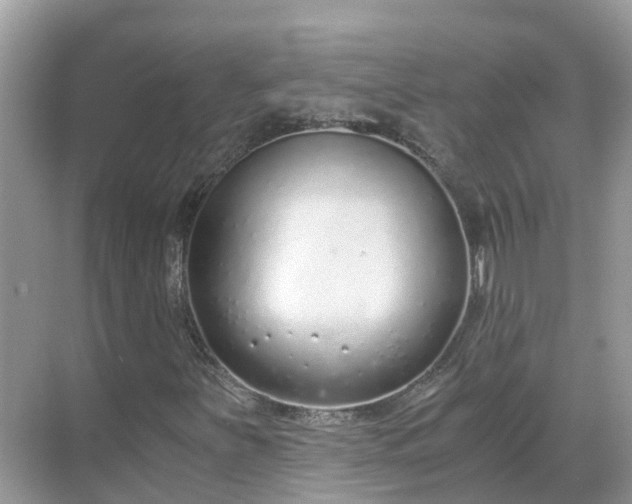 X0000068761251200605051557