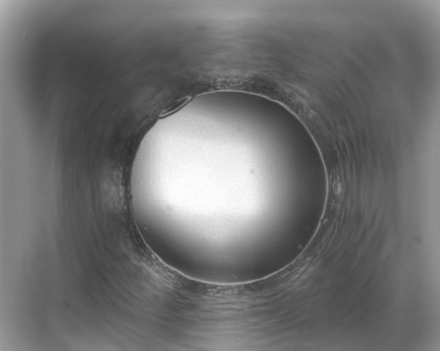 X0000068761252200605051557