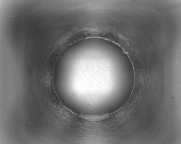 X0000068761253200605051557