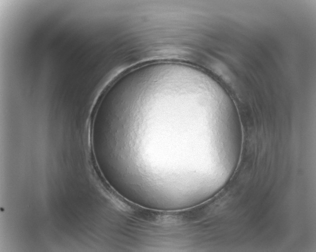 X0000068761275200605051556