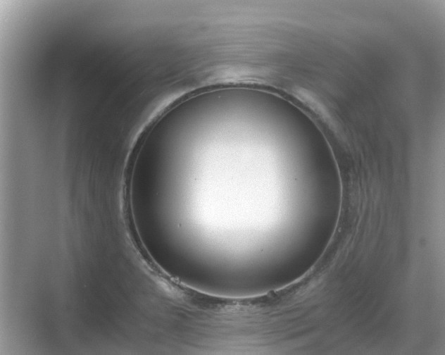X0000068761277200605051556