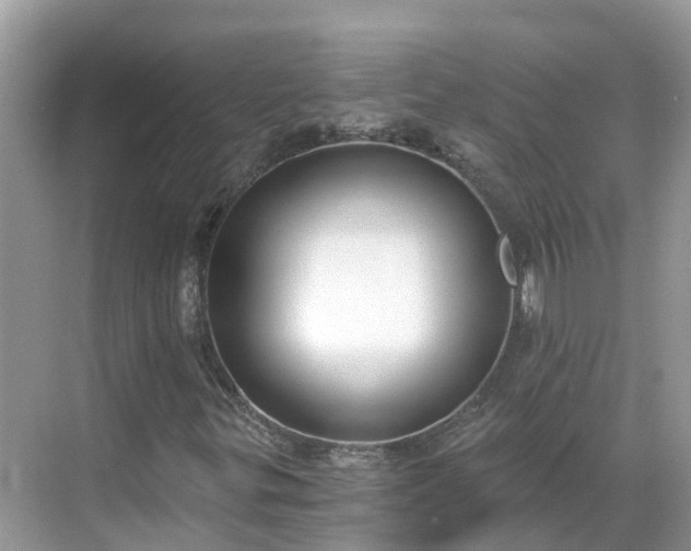 X0000068761299200605051555