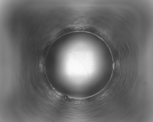 X0000068761300200605051555